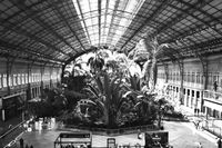 Atocha - Estación Central de Trenes de Alta Velocidad | Atocha - Central High Speed Train Station