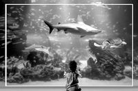 ZOO - Acuarium - Madrid